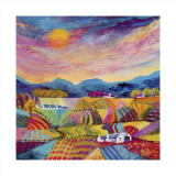 Profusion of Colour