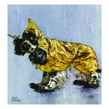 "Butch in Raingear " April 2  1949