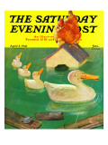 "Ducks in a Flood " Saturday Evening Post Cover  April 5  1941