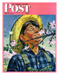 "Apple Blossoms " Saturday Evening Post Cover  May 6  1944