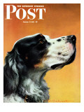 "Gordon Setter " Saturday Evening Post Cover  October 17  1942