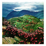 "Appalachian Rhododendrons " May 27  1961