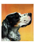 "Gordon Setter " October 17  1942