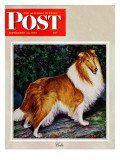 "Collie " Saturday Evening Post Cover  September 11  1943