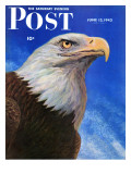 "Closeup of Bald Eagle " Saturday Evening Post Cover  June 13  1942