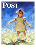 "Daisy Among Daisies " Saturday Evening Post Cover  August 21  1943