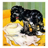 "Muddy Paw Prints " December 6  1947