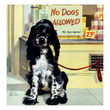 "No Dogs Allowed " August 24  1946
