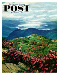 "Appalachian Rhododendrons " Saturday Evening Post Cover  May 27  1961