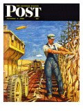 "Corn Harvest " Saturday Evening Post Cover  October 9  1948