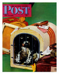 "Traveling Butch " Saturday Evening Post Cover  July 15  1944