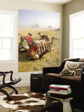 Resting Camels Gaze Across the Desert Sands of Giza  Cairo  Egypt