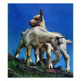 "Two Kid Goats " May 9  1942