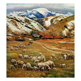 "Sheep Ranch " March 18  1961