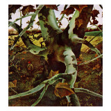 "Sycamore Tree and Hunter " October 16  1943