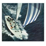 "America's Cup " August 22  1964