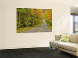 Roadway Through White Mountain National Forest  New Hampshire  USA