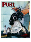 "Butch's Haircut " Saturday Evening Post Cover  January 31  1948