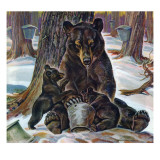 "Bears Eating Maple Syrup " March 28  1942