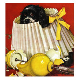 "Butch & Broken Lamp " February 23  1946
