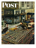 "Turkey Loose Atop Truck " Saturday Evening Post Cover  November 27  1948