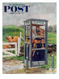"Cub Scouts in Phone Booth " Saturday Evening Post Cover  August 26  1961