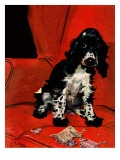 "Butch Ate the Coupons " February 19  1944