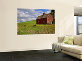 A Ride Through the Farm Country of Palouse  Washington State  USA