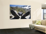 Climbing Guide Resting at Refugio Chabot