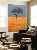 Lone Tree in Grassland