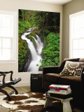 Sol Duc Falls in Olympic National Park  Washington  USA