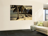 Playa Rincon Beach  Las Galeras  Samana Peninsula  Dominican Republic