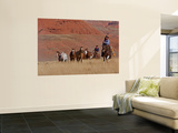 Cowboys Herding Horses in the Big Horn Mountains  Shell  Wyoming  USA