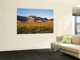 Sand Dunes in Mesquite Flat  Death Valley National Park  California  USA