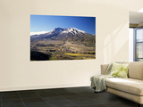 Mount St Helens National Volcano Monument  Washington  USA