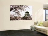Osaka Castle with Cherry Blossoms