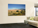 Sand Dunes of Great Sand Dunes National Park and Preserve in the Sangre De Cristo Mountains  CO