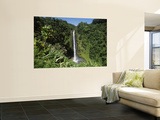 Akaka Falls State Park  Hawaii  USA