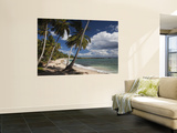 Playa El Frances Beach  El Frances  Samana Peninsula  Dominican Republic