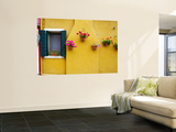 Colorful Burano City Homes  Italy