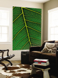Peepal Leaf