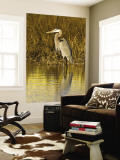 Great Blue Heron Standing in Salt Marsh on the Laguna Madre at South Padre Island  Texas  USA