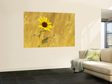 Prairie Sunflower at Palouse Falls State Park  Washington  USA
