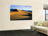 Sand Dunes in Mesquite Flat  Death Valley National Park  California  USA