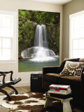 Waiau Waterfall Near 309 Road  Coromandel Peninsula  North Island  New Zealand