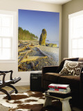Shoreline and Seastacks  Ruby Beach  Olympic National Park  Washington  USA