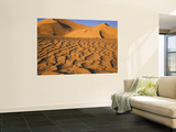 Sand Dune Patterns at Eureka Dunes  Death Valley National Park  California  USA