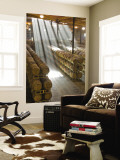 Shafts of Light in Barrel Room of Montevina Winery  Shenandoah Valley  California  USA