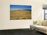 Sand Dunes of Great Sand Dunes National Park and Preserve in the Sangre De Cristo Mountains  CO