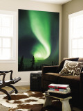 Aurora Borealis  Fairbanks  Alaska  USA